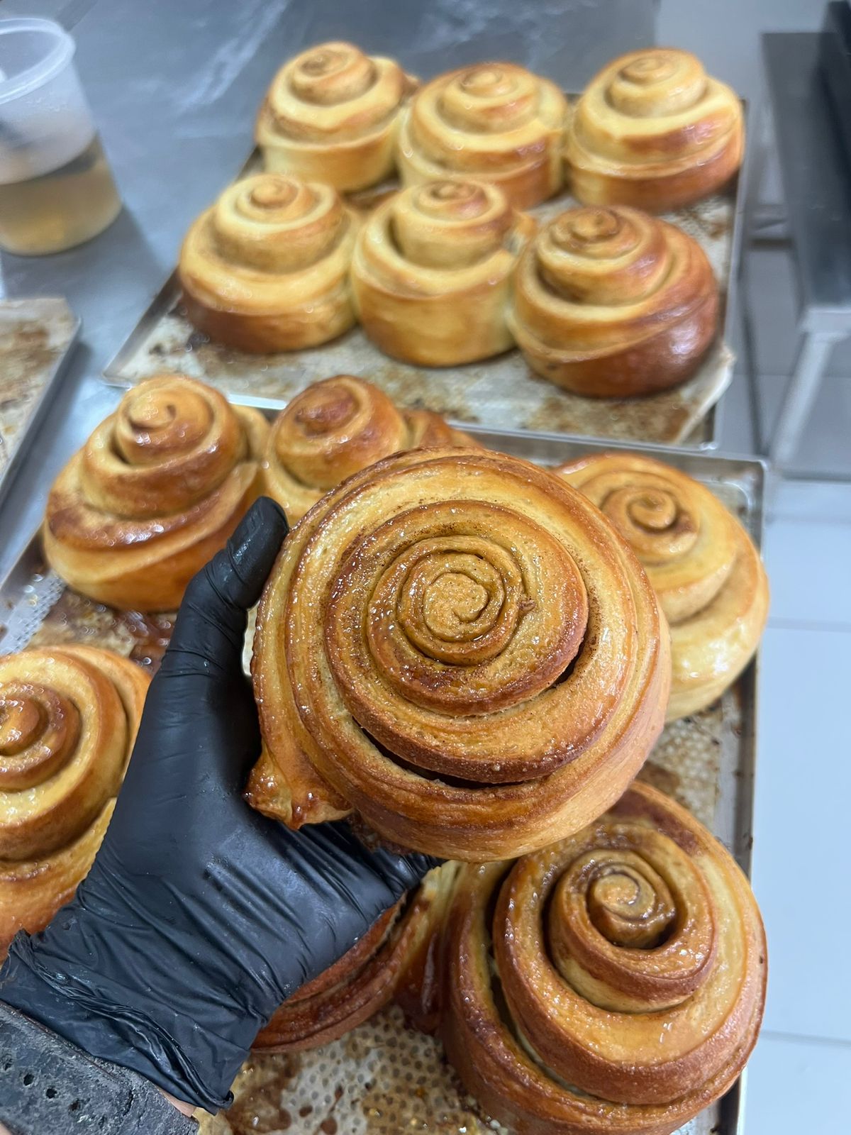 Cuca / cinnamon rolls no estilo Rio Grande do Sul, recém-saídos do forno